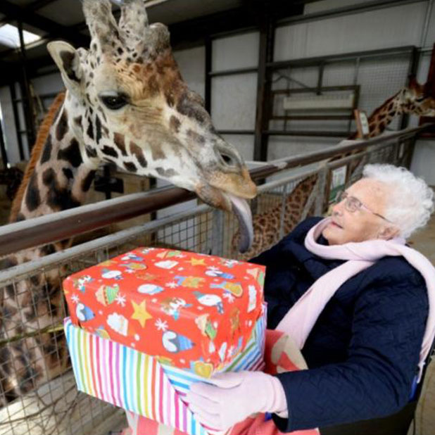 A Birthday Dream Come True For Winn - Churchfields Nursing Home