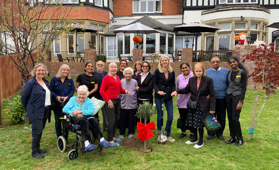 Olive Tree Planted At Dungate Manor Care Home